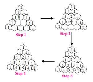 Pascal Triangle Python Code Using Only for Loop に対する画像結果