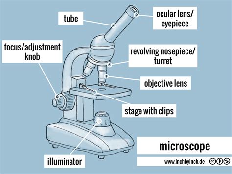 Image result for Microscopes Simplified