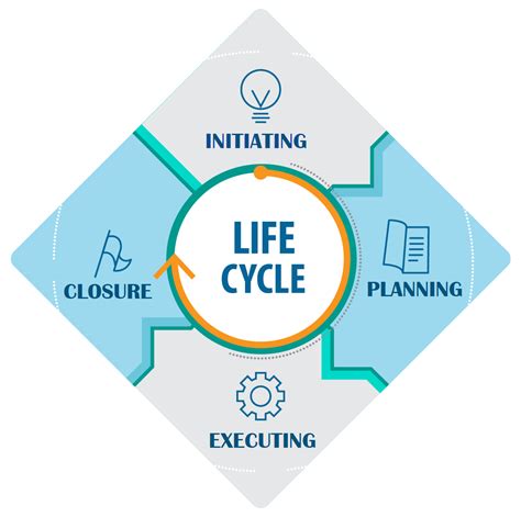Image result for Life Cycle Examples