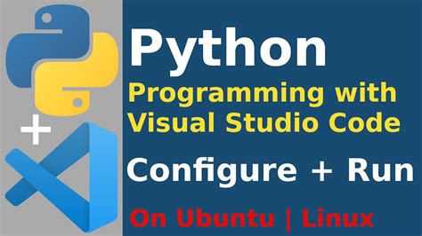 How to Run Python Basic Programs On Visual Code に対する画像結果