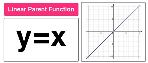 Linear Function に対する画像結果
