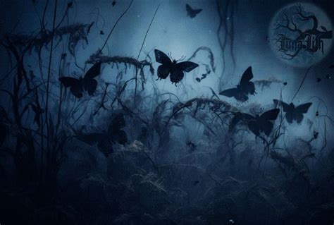 Image result for Corpse Bride Butterflies