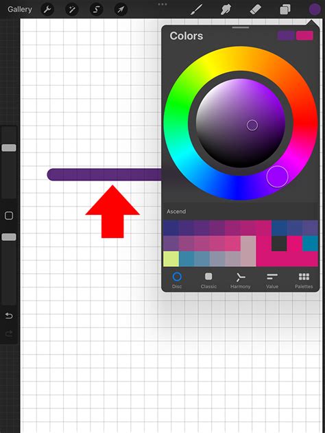 Image result for Color Line Procreate