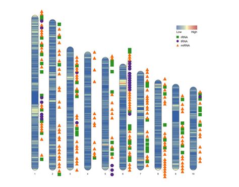 Image result for 2D Vector Drawing Python