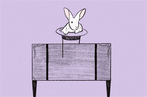 Image result for Magic Tricks On Primates