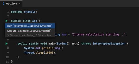 Image result for Java Run Methode