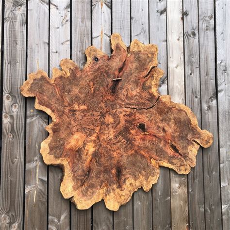 Exploding Tree Exploding に対する画像結果