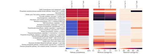 Triangular Plot Log Heatmap Python に対する画像結果