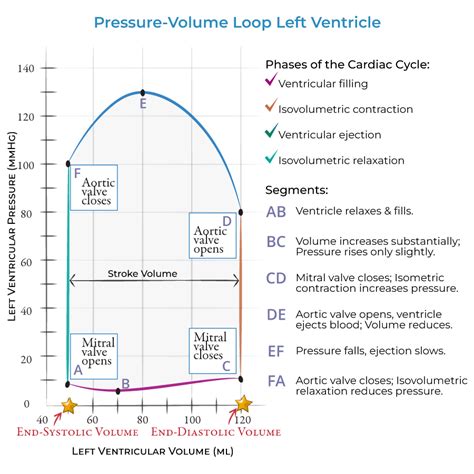 Volume Diagram に対する画像結果