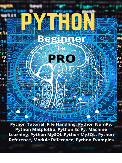 Toradh íomhá ar Python Beginner to Pro