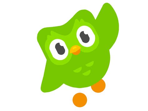 Image result for Duolingo