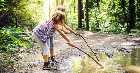 Tick Exploding に対する画像結果