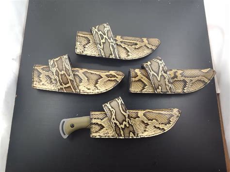 Python Sheath Model に対する画像結果