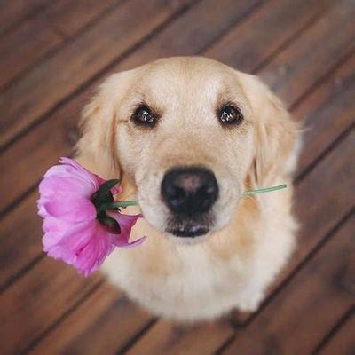 @zaid8706 | Linktree