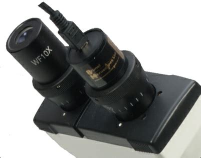 Toradh íomhá ar Brunel Microscope Camera Software