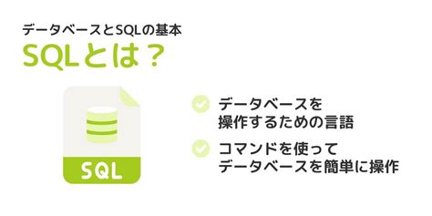 SQL Show Databases に対する画像結果