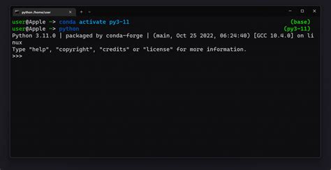 Python 3.11 に対する画像結果