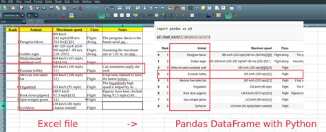 Read Excel File in Python Output Data に対する画像結果