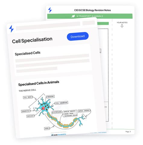 Image result for GCSE Computer Science Protocols