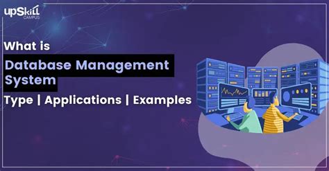 Toradh íomhá ar Network Database Management System