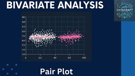 Bivariate Analysis Examples に対する画像結果