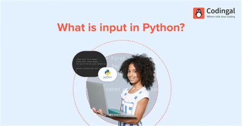 Image result for How To Make An Input In Python
