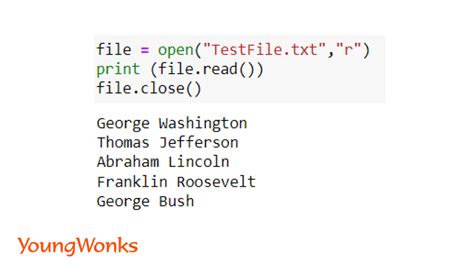 Toradh íomhá ar How to Read a File Python
