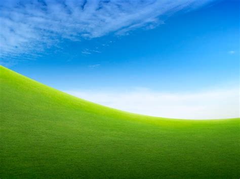 Afbeeldingsresultaten voor Computer Sample Paper