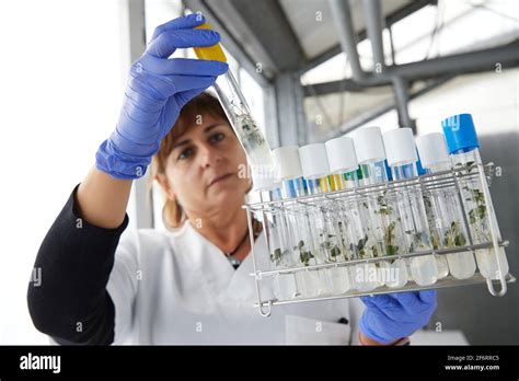 Biotechnology Development に対する画像結果