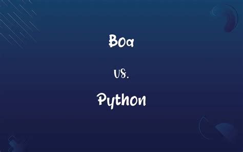 Image result for Python Boa