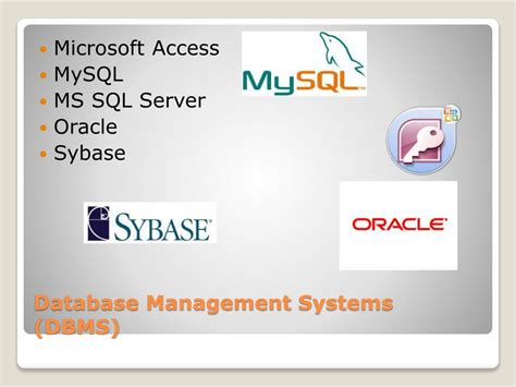 Image result for Database Programs