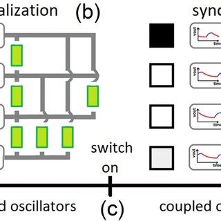 Image result for Python Onn