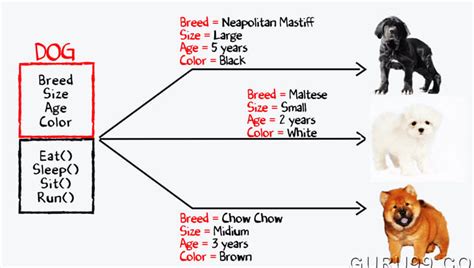 Image result for Class and Object Program in Java