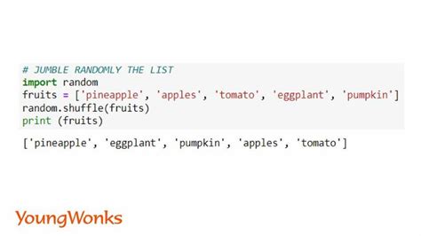 Image result for Random Python