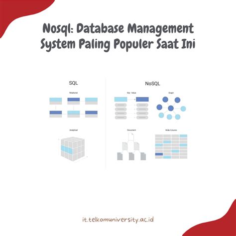 NoSQL Database Management System に対する画像結果