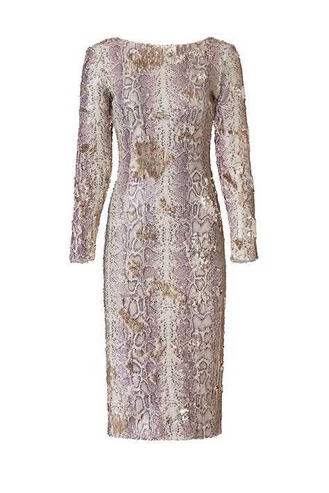 Python Sheath Model に対する画像結果