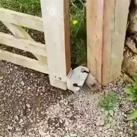 Image result for Amazing Engineering YouTube