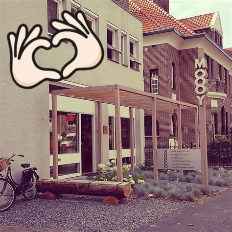 Bildergebnis für Moooy