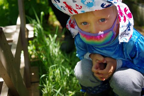 Image result for Nature Morning Views