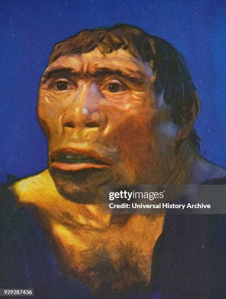 Image result for Java Native Person