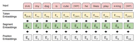 Image result for Dense Vector Python