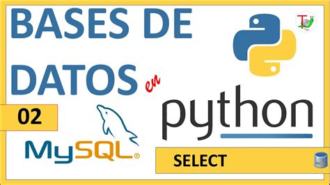 Image result for Base De Datos Con Python