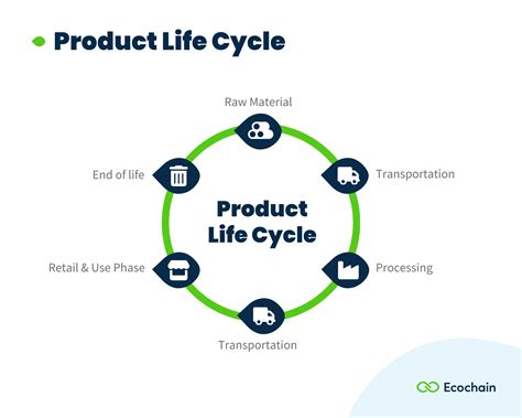 Image result for Life Cycle Examples