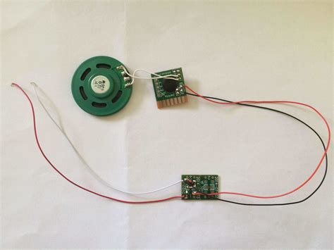 Image result for How to Use Sound Module