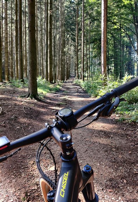 Exploding Tree Exploding に対する画像結果