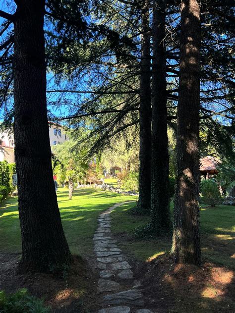 Image result for Free Robux Image Logger