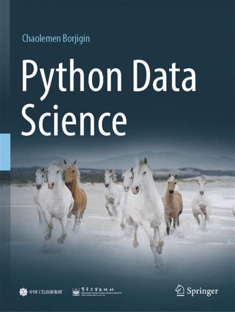 Python Data Science - Borjigin - Soft Cover