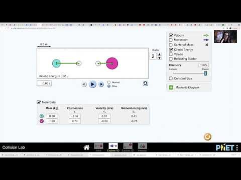 PHY 233 - Using PhET 1D Collisions Lab