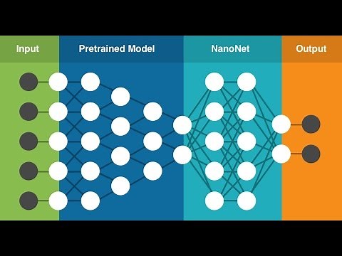 Reusing Pre trained Models - Deep Learning with Python