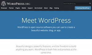How To Build a WordPress Website in 6 Easy Steps